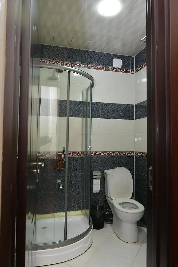 Antika Hotel Batumi 3*,  Georgia